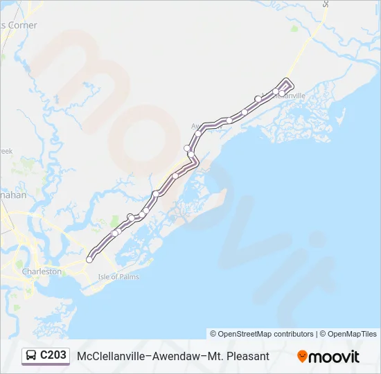 C203 Bus Line Map