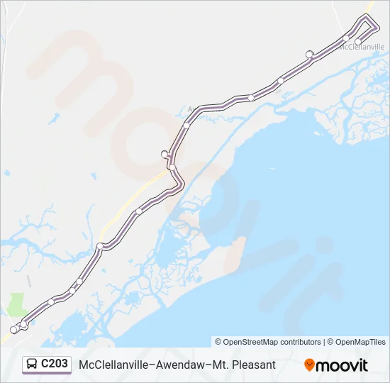C203 Bus Line Map