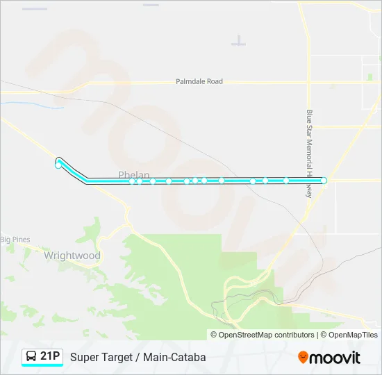 21P Bus Line Map
