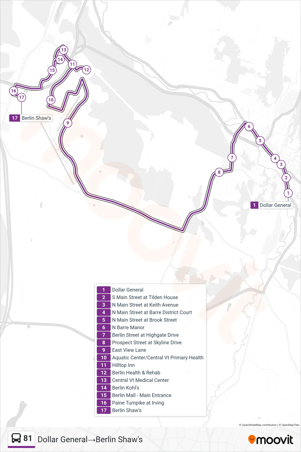 81 bus Line (Dollar General→Berlin Shaw's) route and stops on a map