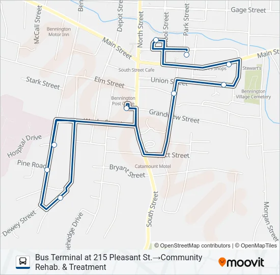 BLUE LINE Bus Line Map