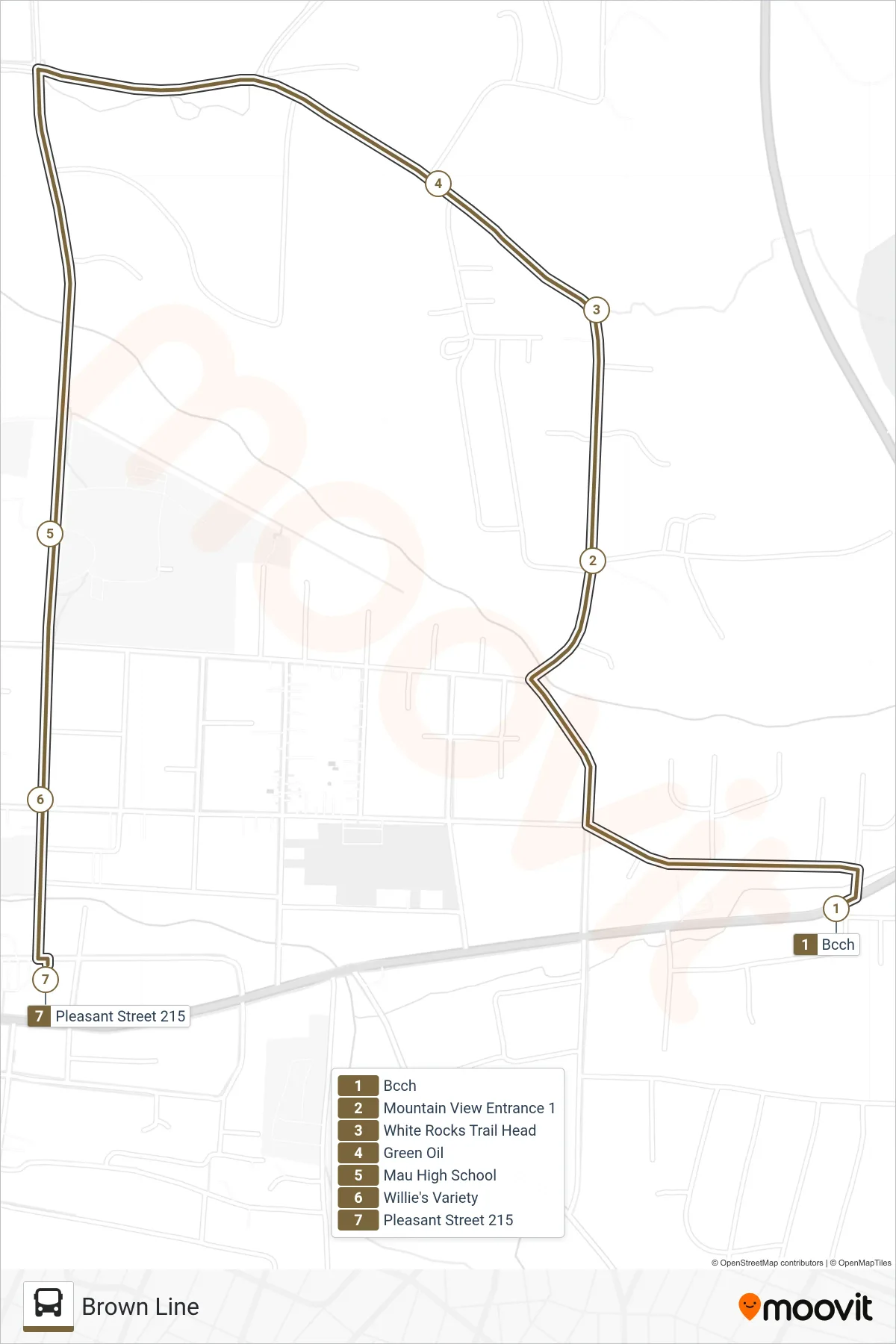 BROWN LINE bus Line (Bcch→Bus Terminal at 215 Pleasant St.) route and stops on a map