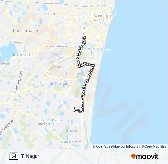 119T Bus Line Map