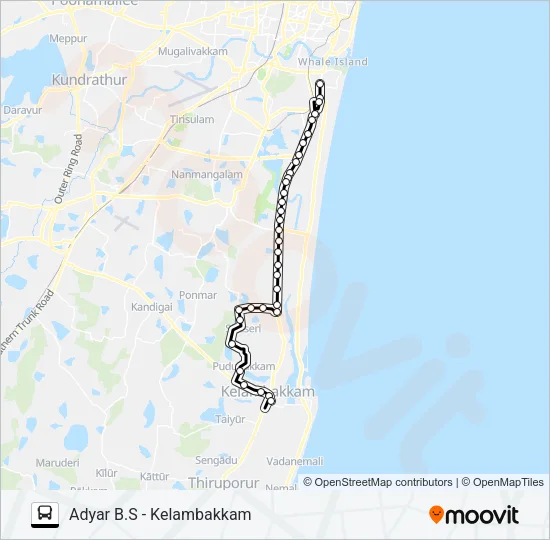 19P Bus Line Map