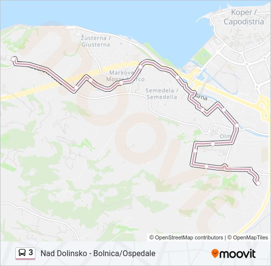 3 Bus Line Map