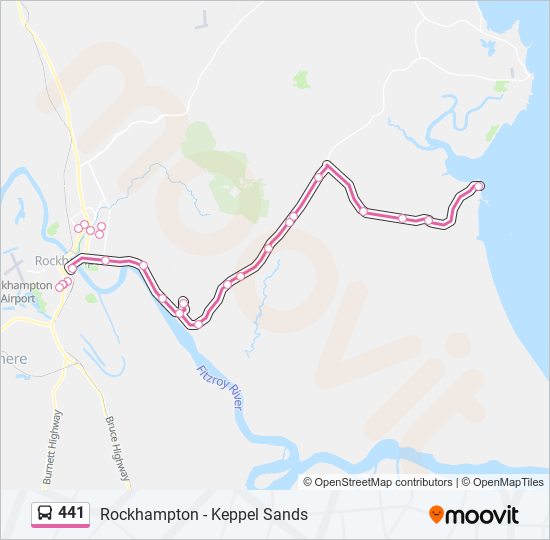 441 Route Schedules, Stops & Maps Keppel Sands (Updated)