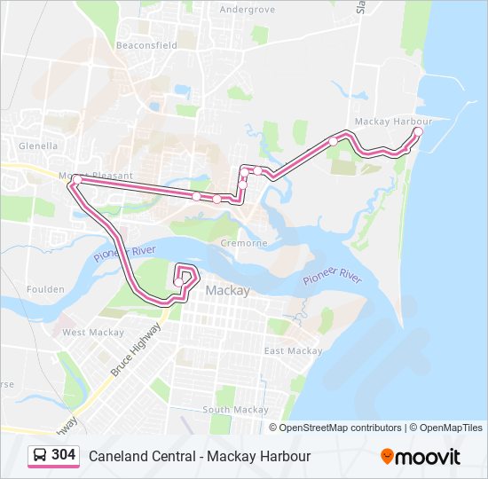 304 Route: Schedules, Stops & Maps - Caneland Central (Updated)