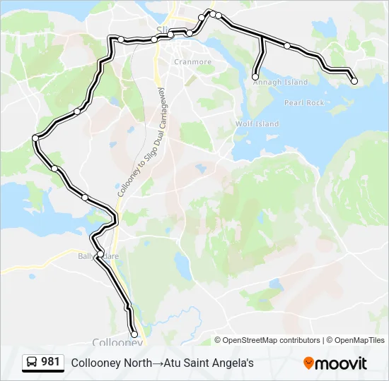 981 Bus Line Map