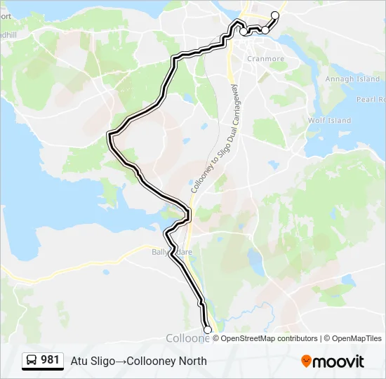 981 Bus Line Map