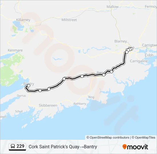 229 Bus Line Map