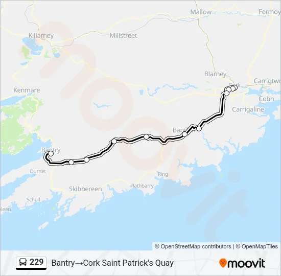 229 Bus Line Map
