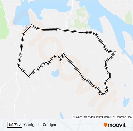 993 bus Line Map