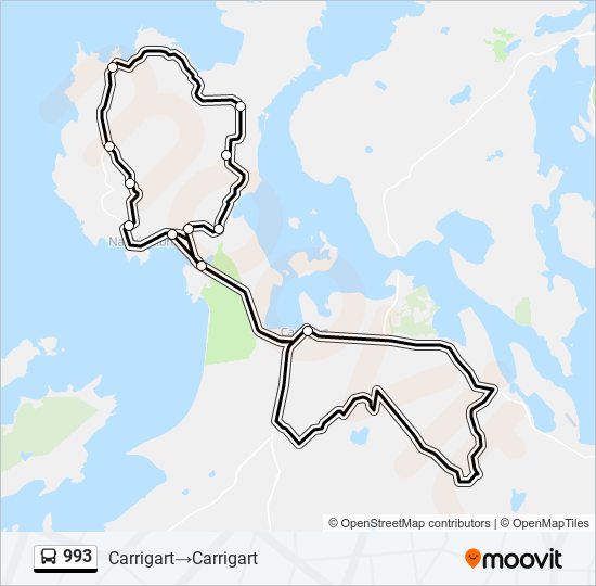 993 bus Line Map