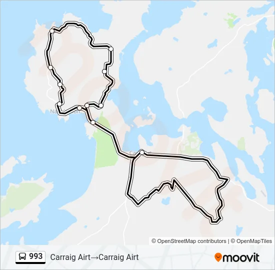993 Bus Line Map
