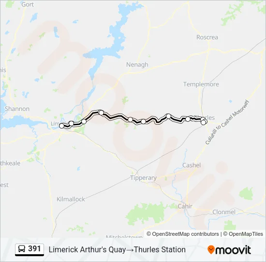 391 Bus Line Map