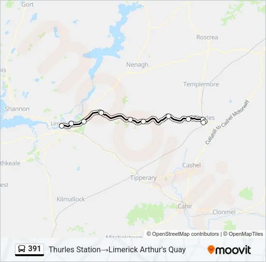 391 Bus Line Map