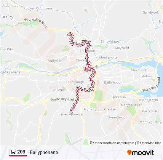 203 Bus Line Map