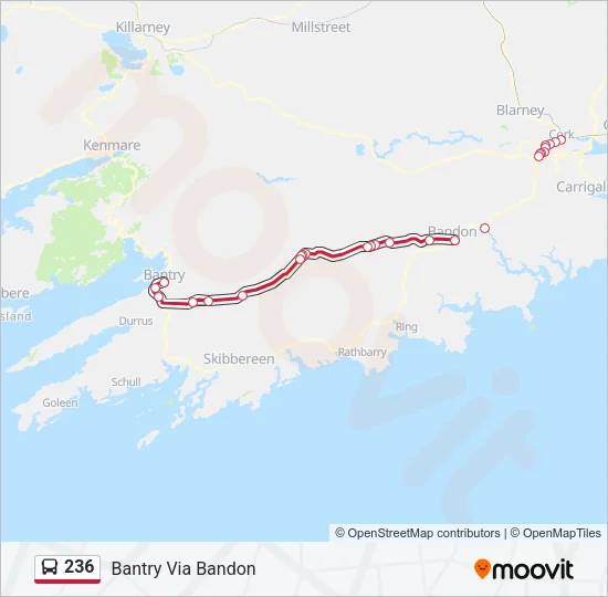 236 Bus Line Map