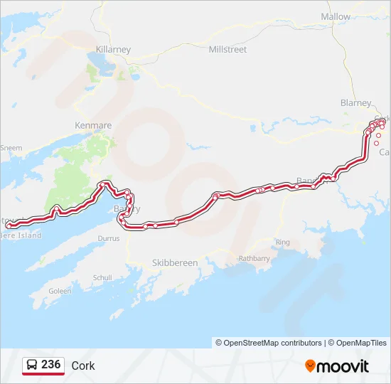 236 Bus Line Map
