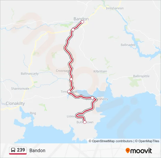 239 Route: Schedules, Stops & Maps - Bandon (Updated)