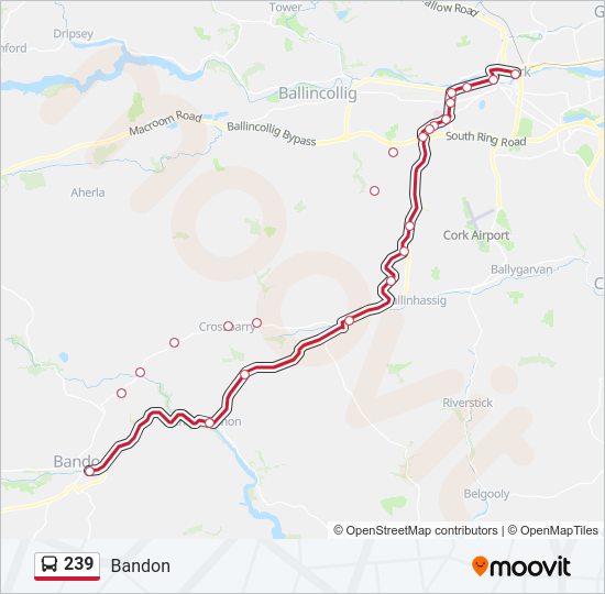 239 Bus Line Map