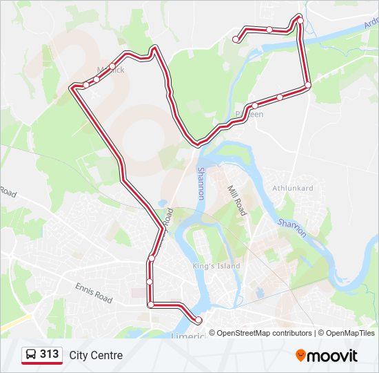 313 bus Line Map