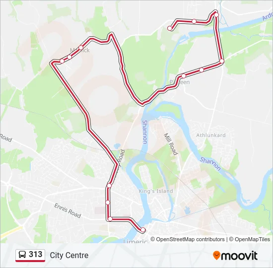 313 Bus Line Map