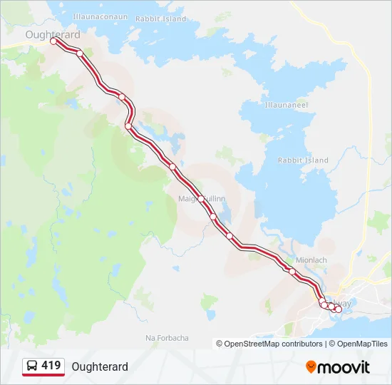 419 Bus Line Map