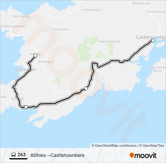 263 Bus Line Map