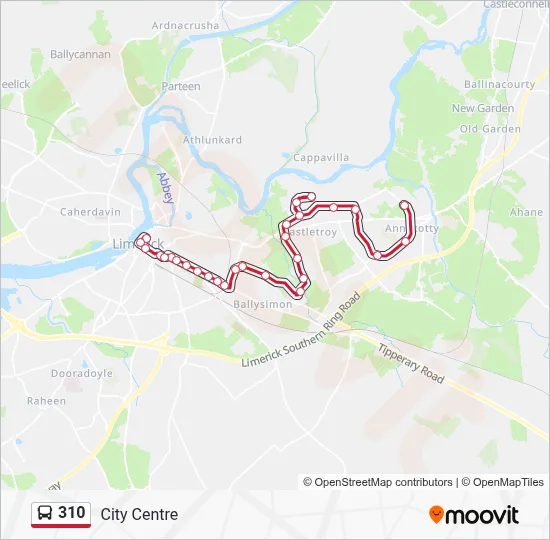 310 Route: Schedules, Stops & Maps - City Centre (Updated)