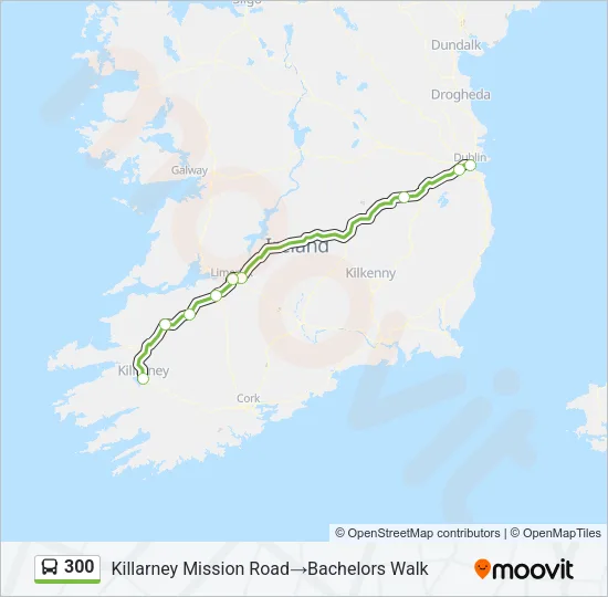 300 Bus Line Map