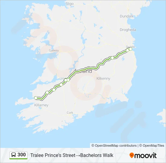 300 Bus Line Map