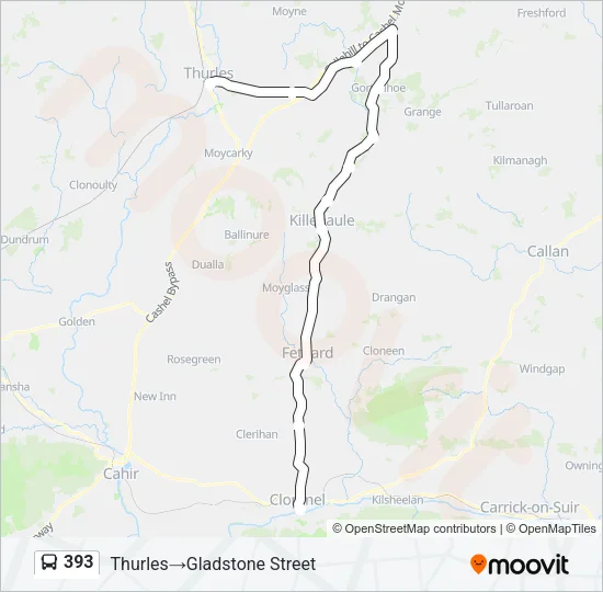393 Bus Line Map