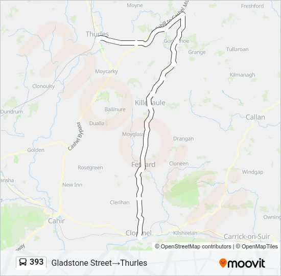 393 Bus Line Map