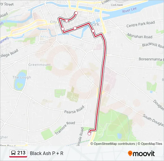 213 Bus Line Map