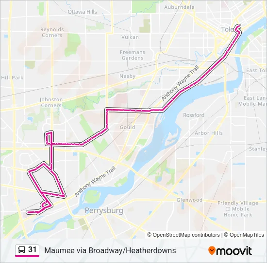 31 Bus Line Map