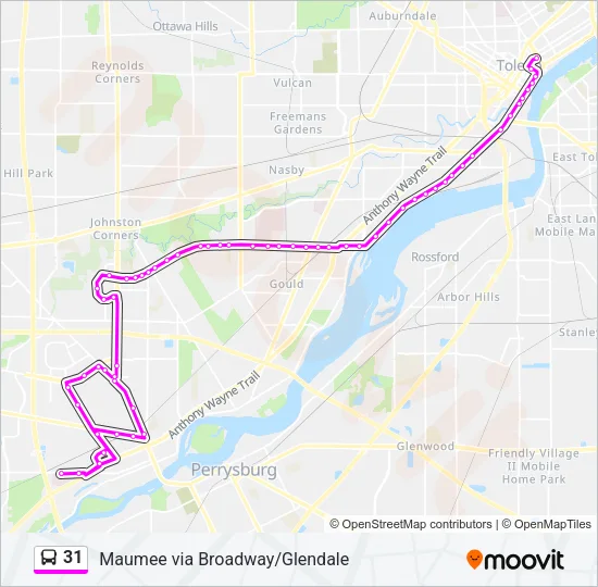 31 Bus Line Map