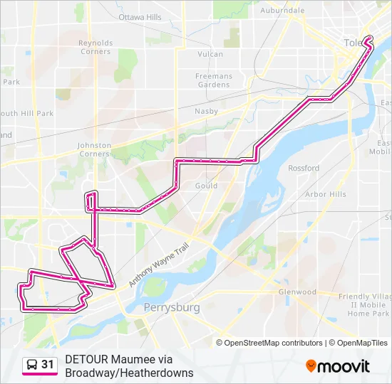 31 Bus Line Map