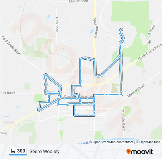 300 Bus Line Map
