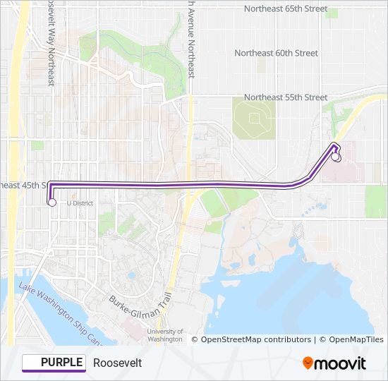 purple express Route: Schedules, Stops & Maps - Circular with library  (Updated)