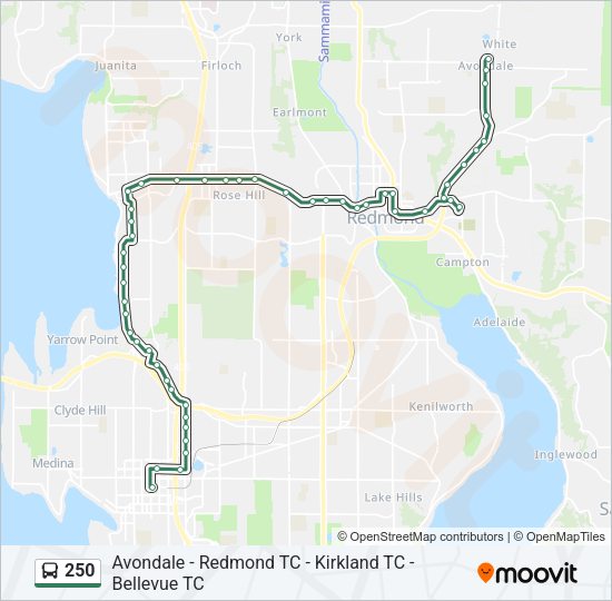 250 Bus Line Map