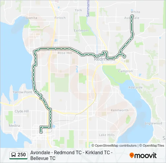 250 Bus Line Map