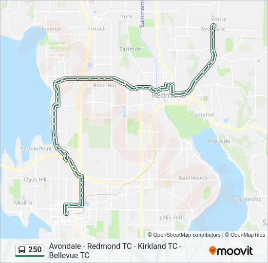 250 Bus Line Map