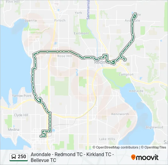 250 Bus Line Map