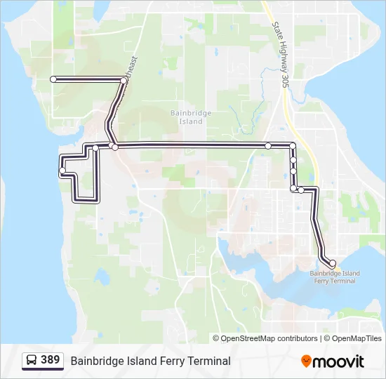 389 Route: Schedules, Stops & Maps - Bainbridge Island Ferry Terminal ...