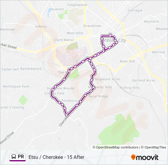 PR Bus Line Map