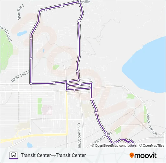 PURPLE - WALKERVILLE Bus Line Map