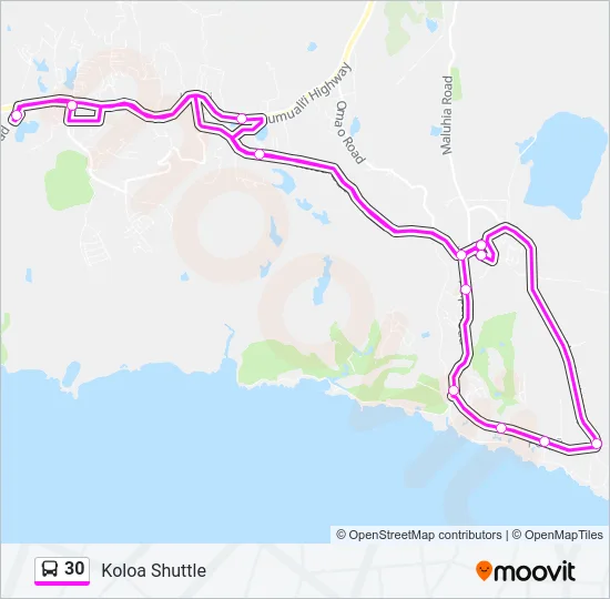 30 Bus Line Map