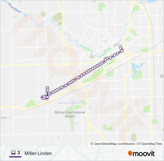 3 Bus Line Map