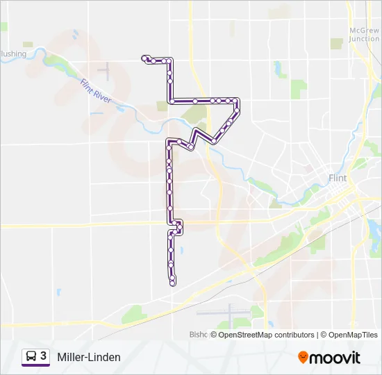 3 Bus Line Map